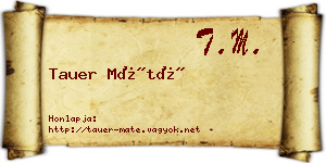 Tauer Máté névjegykártya